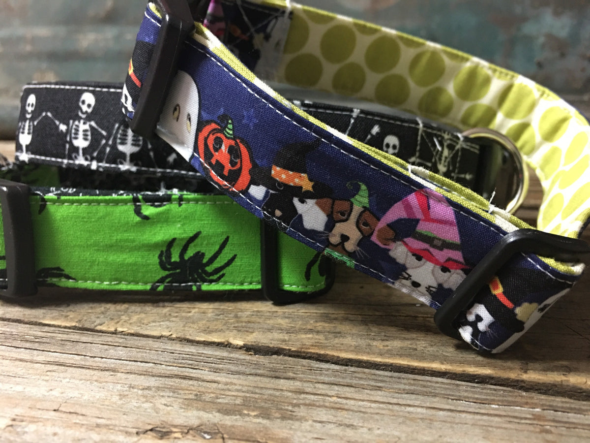 Skeleton dog collar