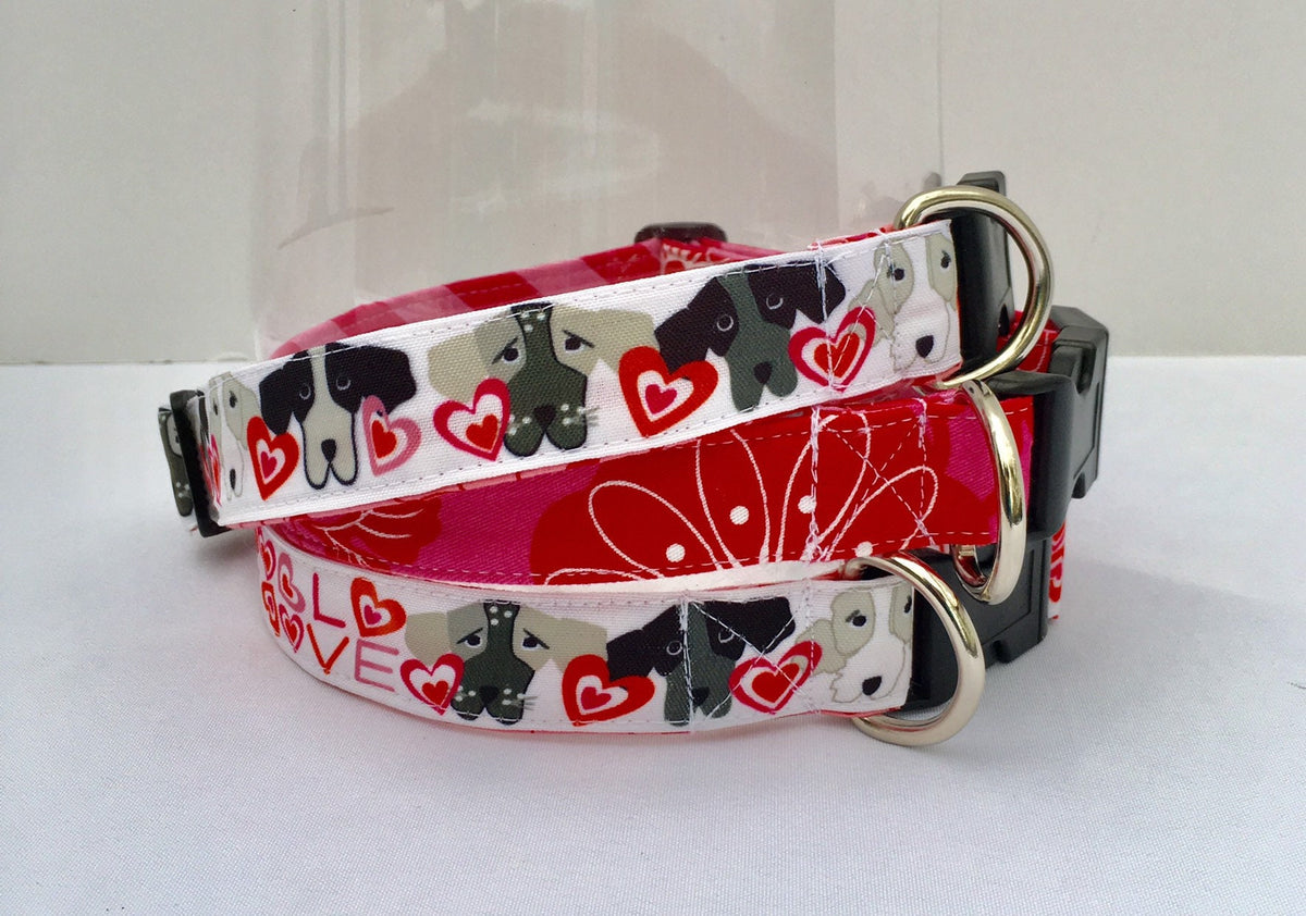 valentine dog collar, puppy love