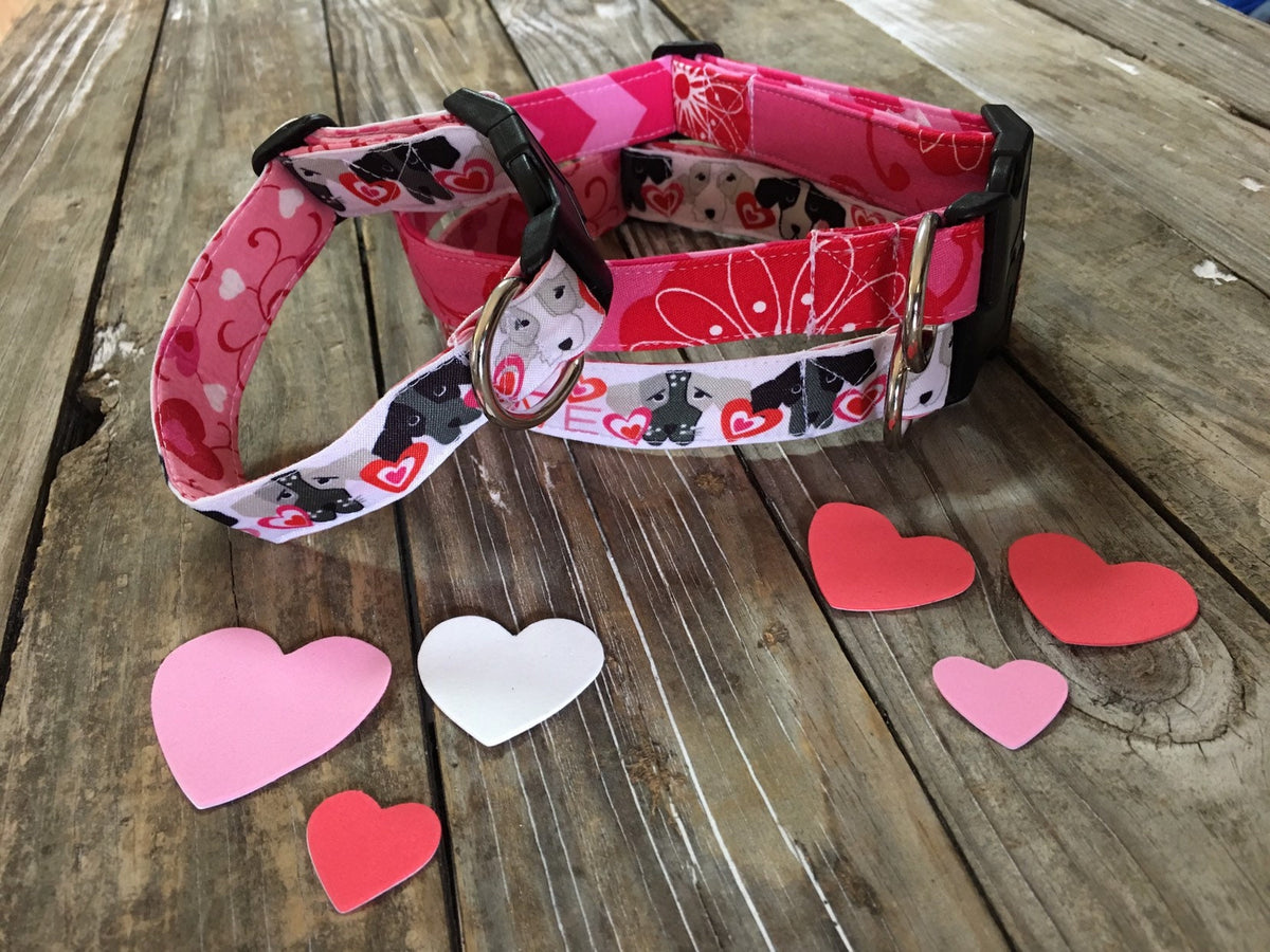 valentine dog collar, puppy love