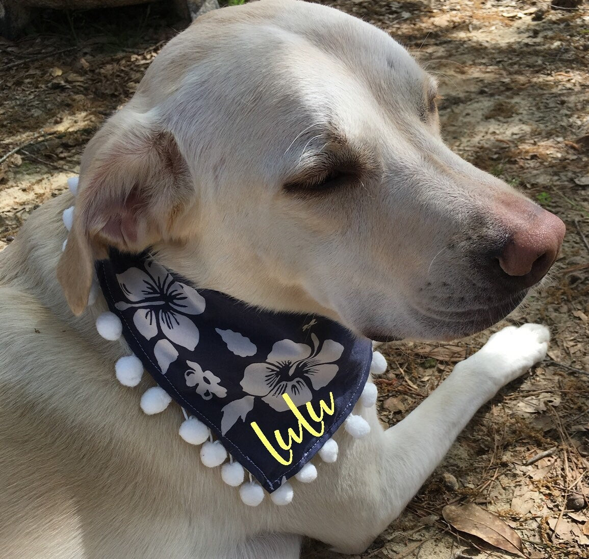 dog bandana personalized