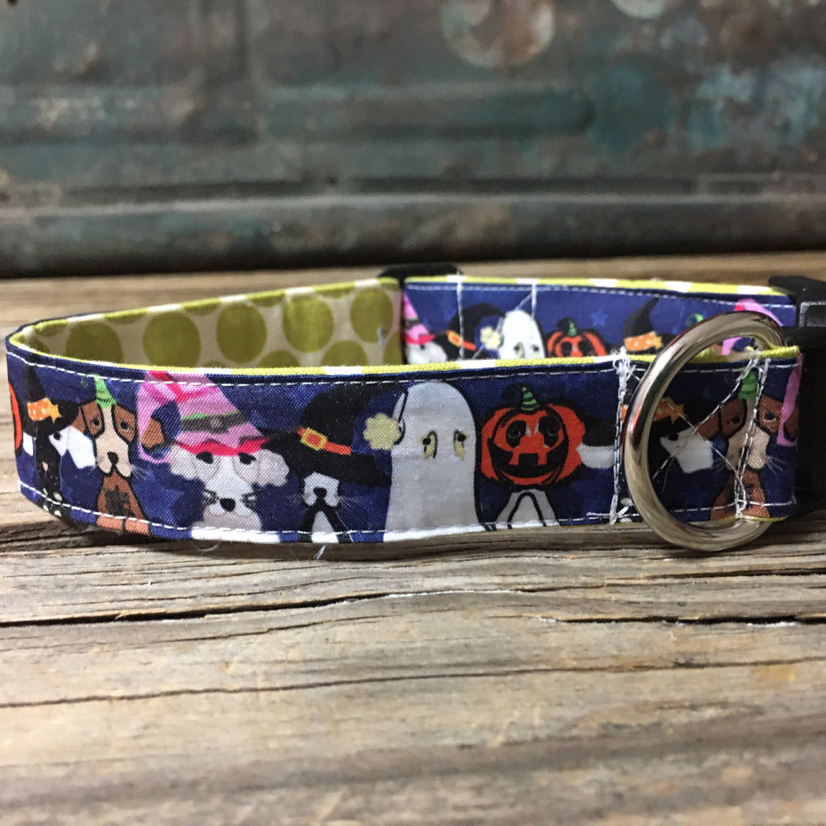 Skeleton dog collar