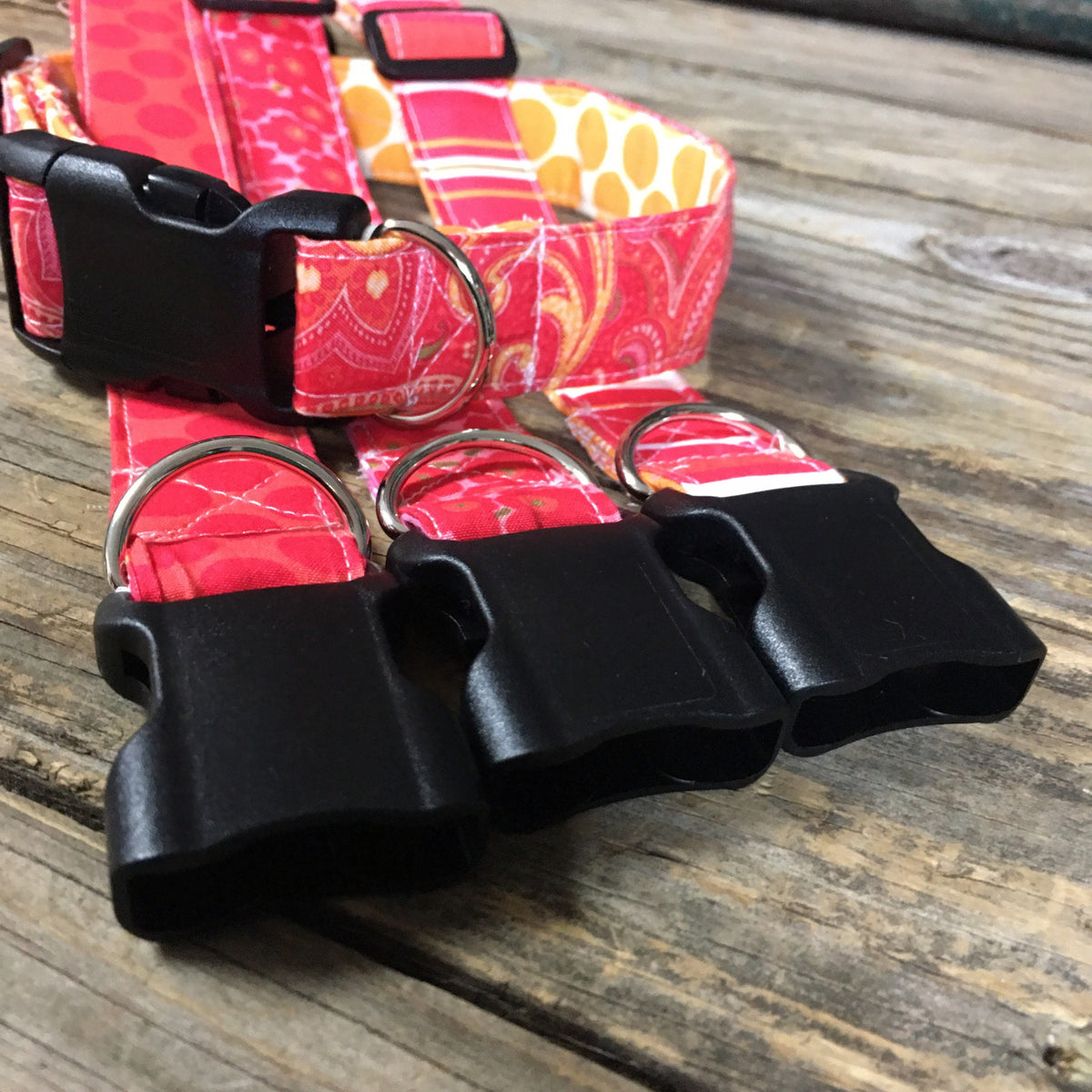 dog collar with dogs name