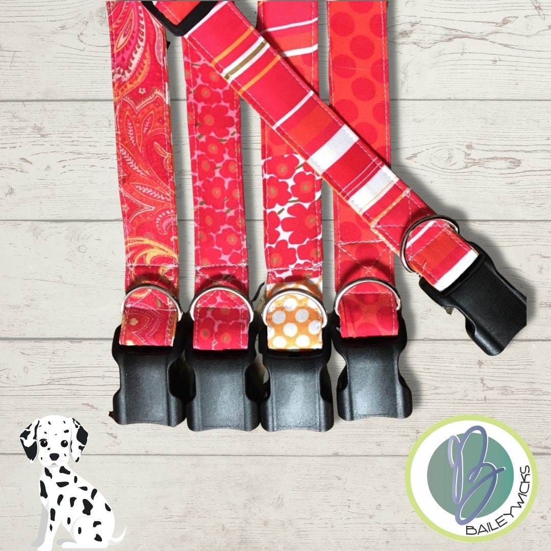 dog collar with dogs name