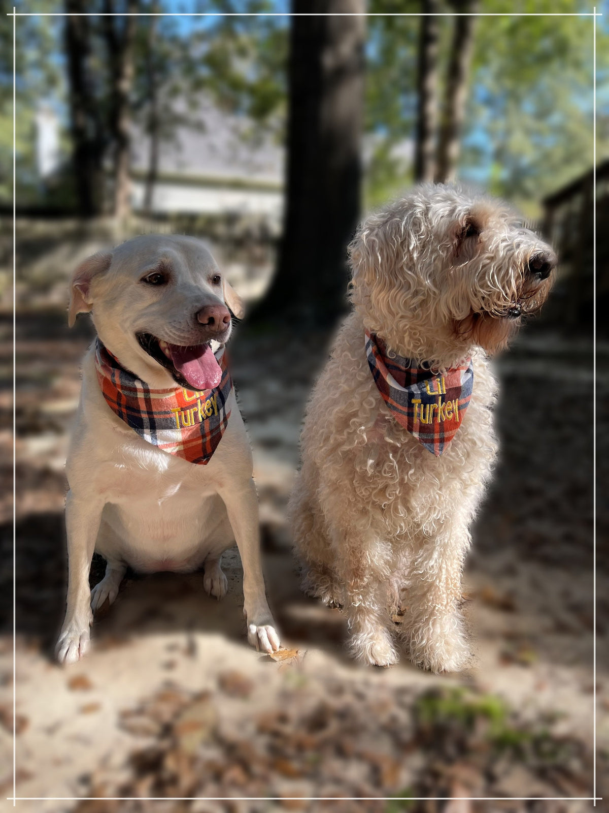 dog bandana fall plaid, Lil turkey dog bandana