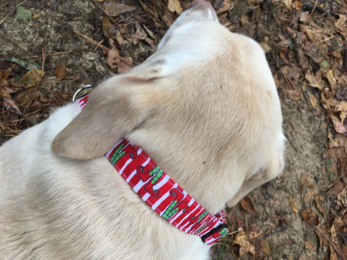 Christmas dog collar