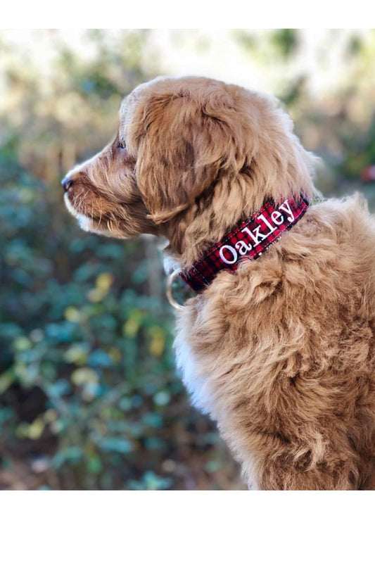 Plaid dog collar