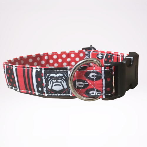 Dawg collar, ga bull dawg collar